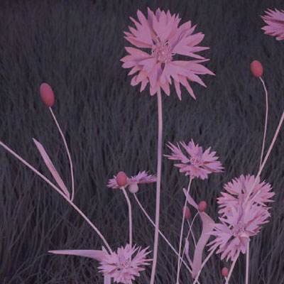 569vip威尼斯游戏截图